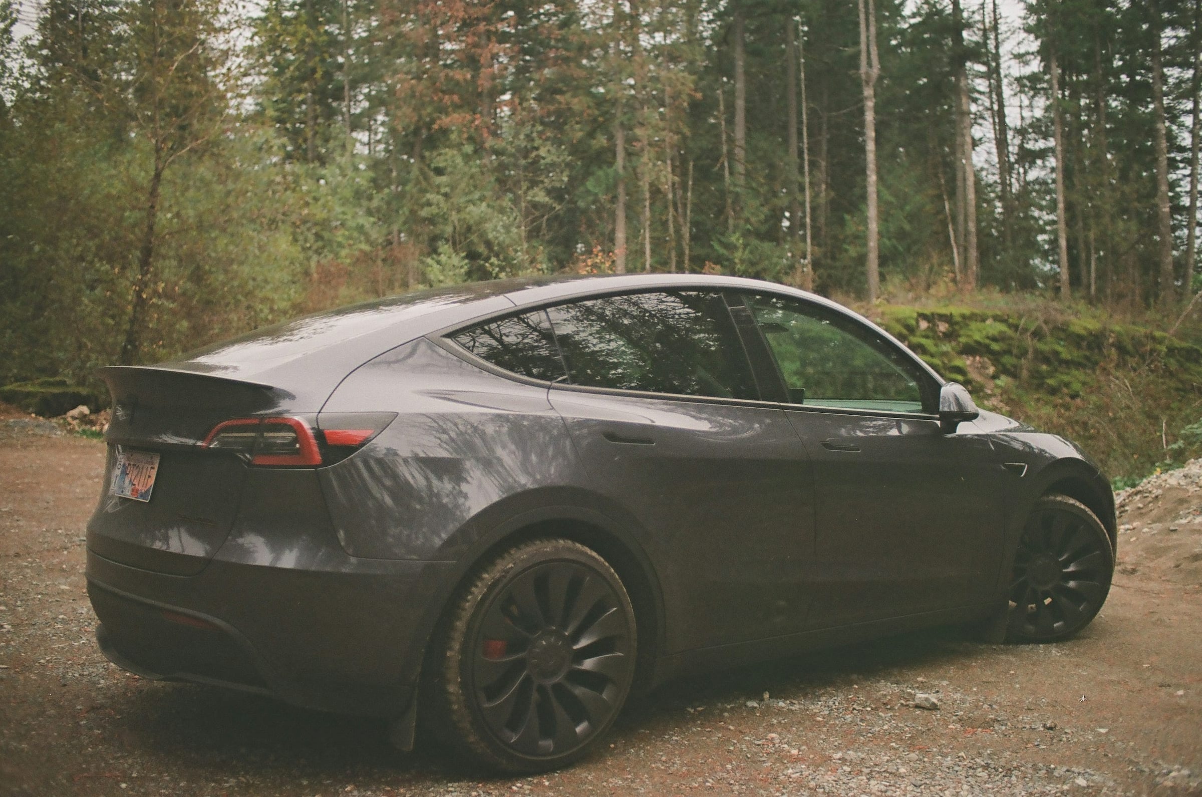 Grey Tesla Model Y on a dirt road in a forest