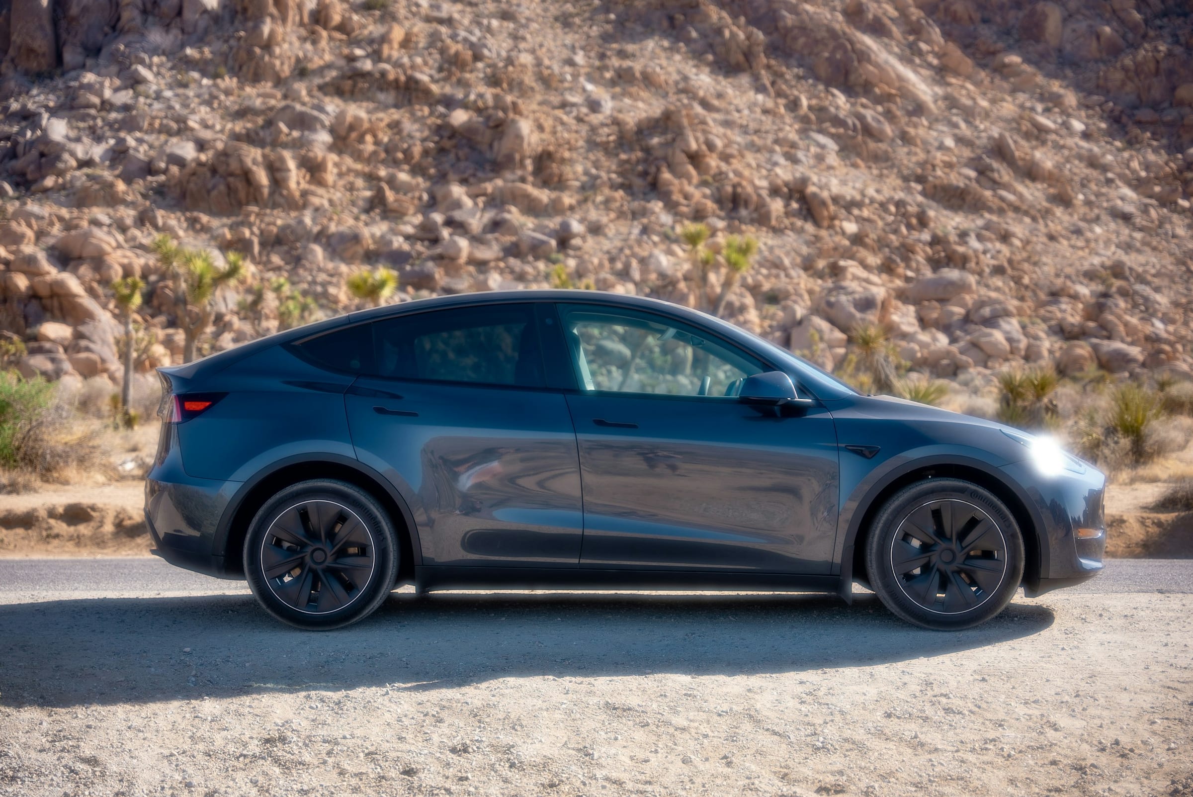 Dark Tesla Model Y on a desert road