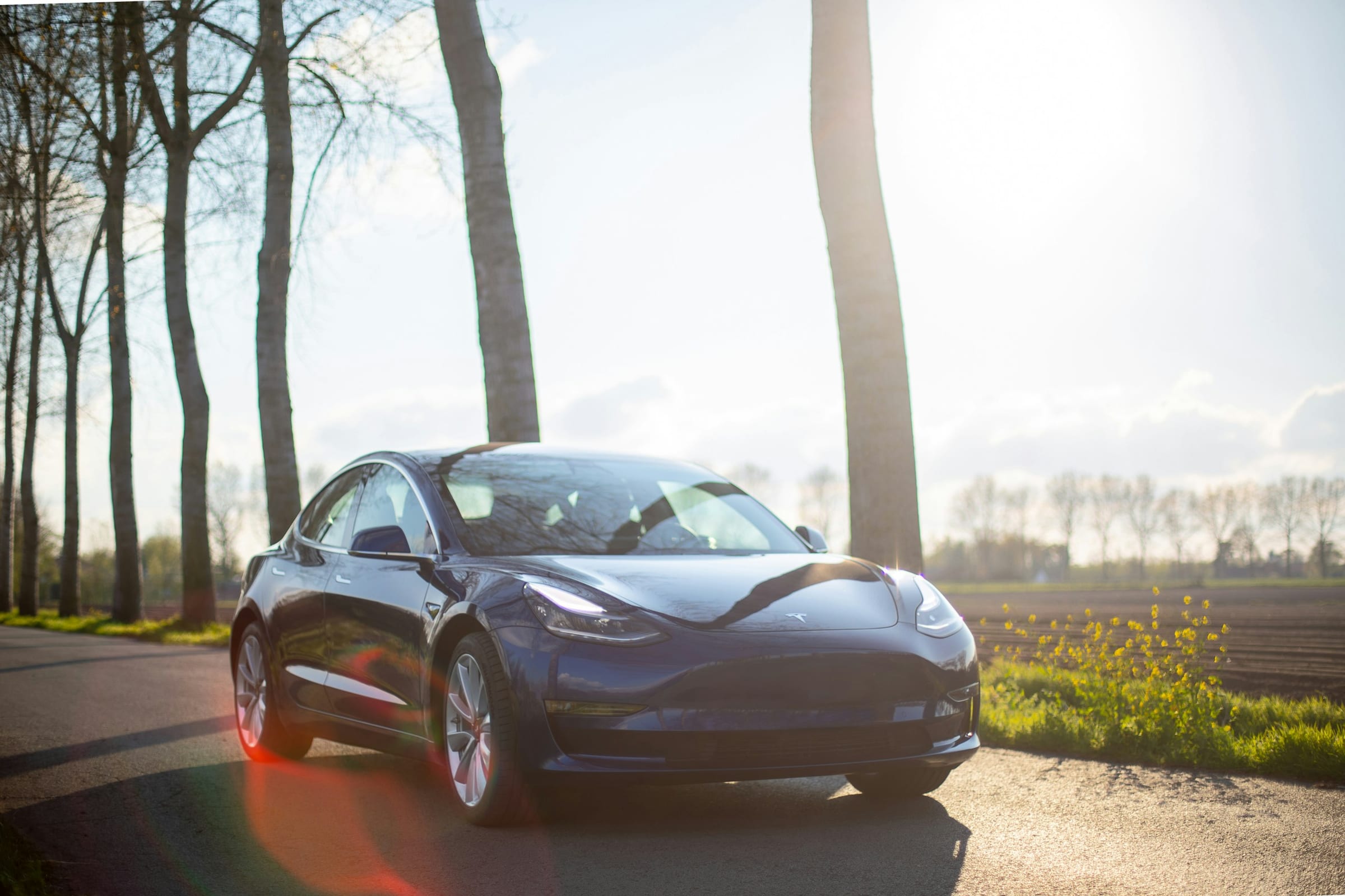 Blue Tesla Model 3 beneath trees in afternoon light